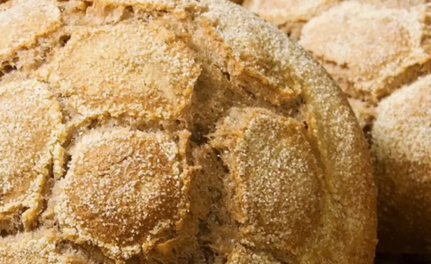 Pane di grano saraceno - La guida per un impasto perfetto