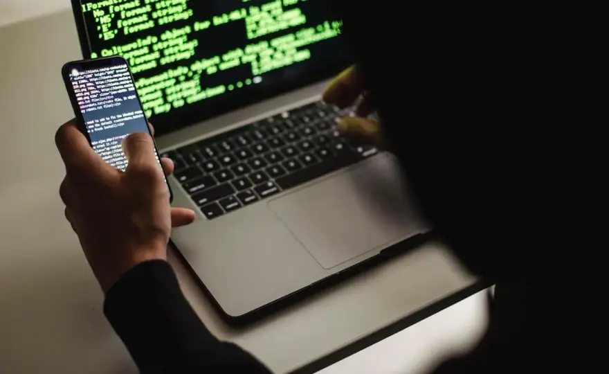 Développeur Web - Rôle, Salaire, Formations : Le Guide Complet