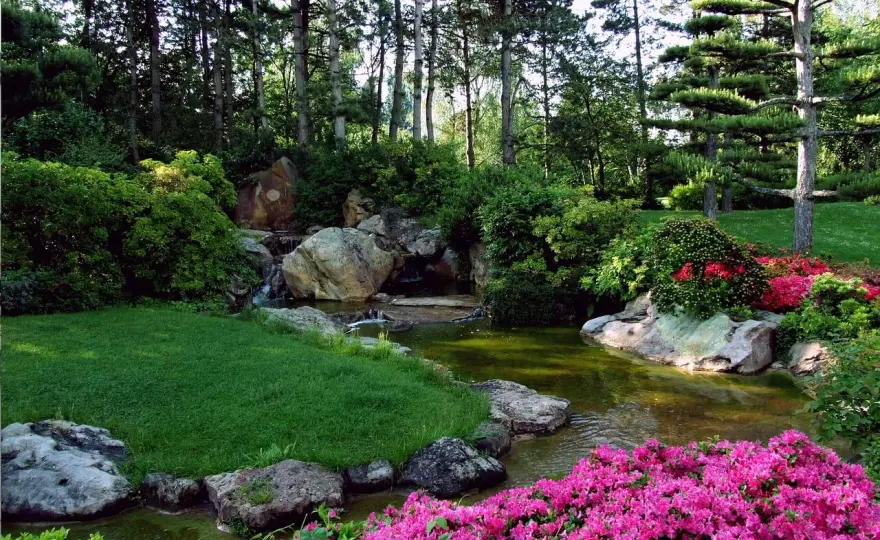 Japanischer Garten gestalten - so geht's in Deutschland!