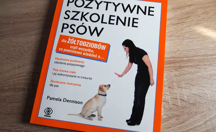 Szkolenie dorosłego psa: Praktyczny przewodnik po pozytywnych metodach