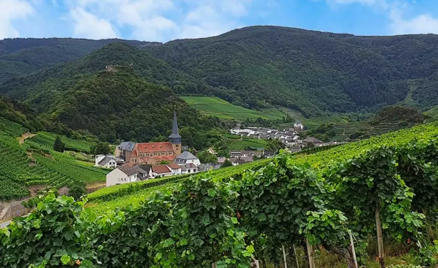 Ahrtal Weingüter - Dein Guide für Weinreise & Genuss
