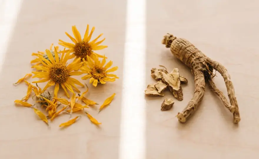 Arnica per bocca? Rischi, uso esterno e cosa fare
