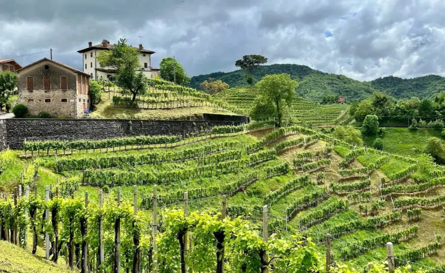 Colline del Prosecco - Itinerario tra borghi e vigneti UNESCO