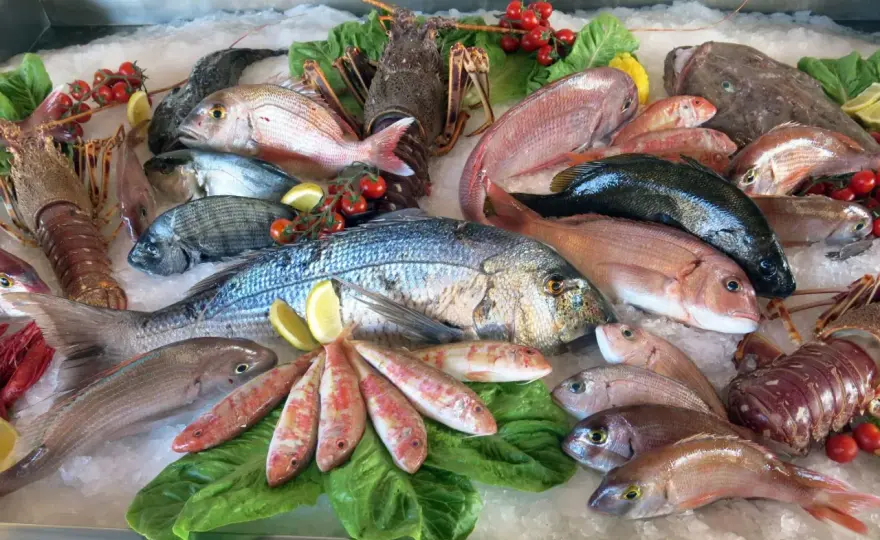 Pesce azzurro - come sceglierlo e cucinarlo senza spendere troppo
