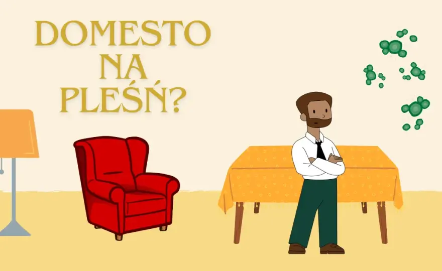 Domestos na pleśń na ścianie? Kiedy działa, a kiedy nie!