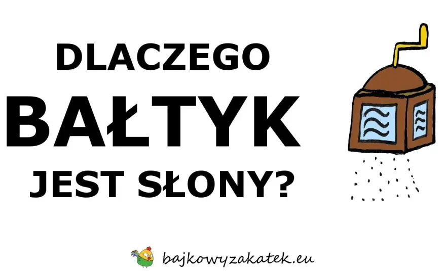 Tajemnica zasolenia Bałtyku: Skąd sól i dlaczego tak mało?