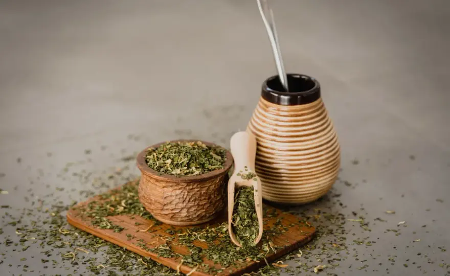 Yerba mate a wątroba - fakty, ryzyka i rozsądne picie