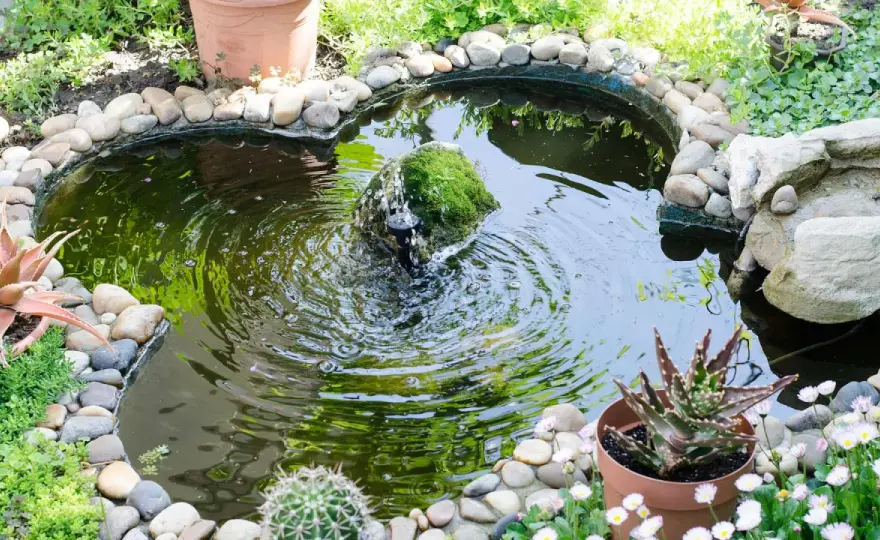 Aménagement bassin extérieur - Le guide pour un jardin sublime