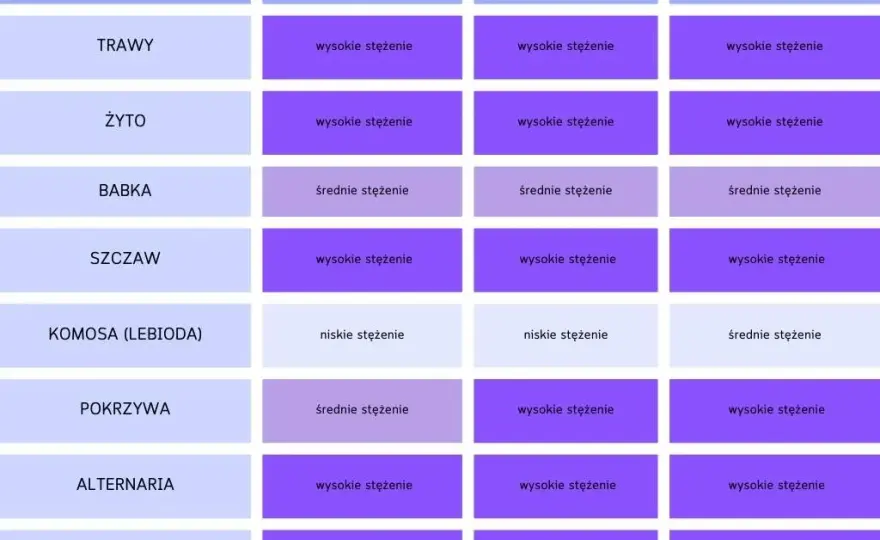Co kwitnie teraz w Polsce? Zobacz, co może wywołać alergie