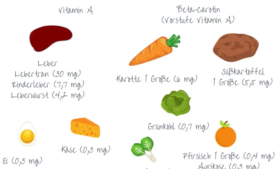 Vitamin A Lebensmittel: Die besten Quellen für Gesundheit und Wohlbefinden