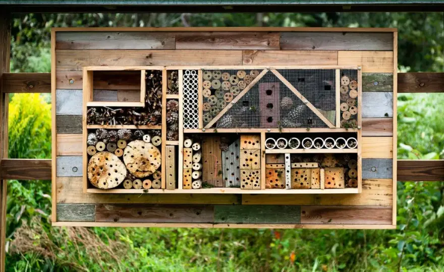 Wildbienenhotel selber bauen - so wird es wirklich angenommen