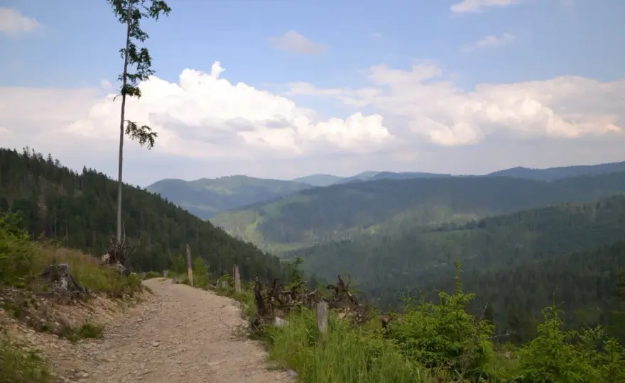 Rycerka Górna i Wielka Racza - szlaki, pętle, porady