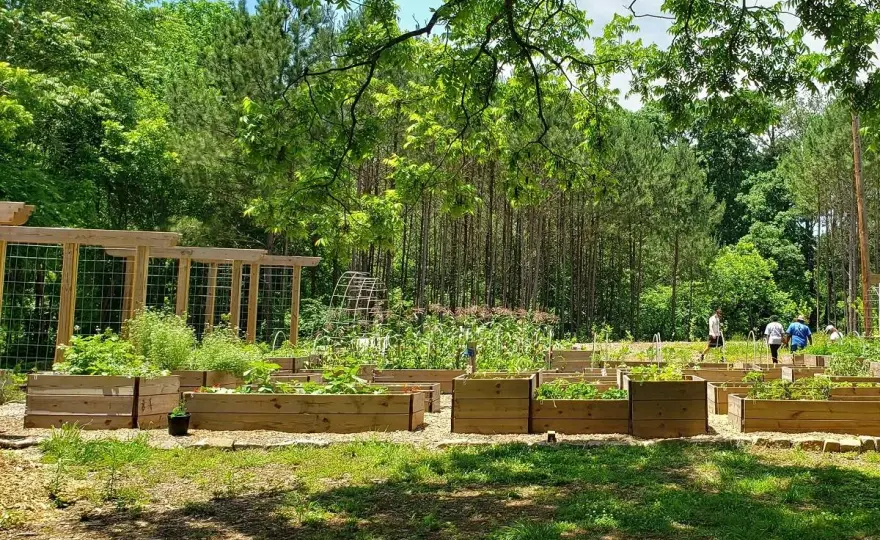 Giardino forestale commestibile - come progettare l’orto-foresta