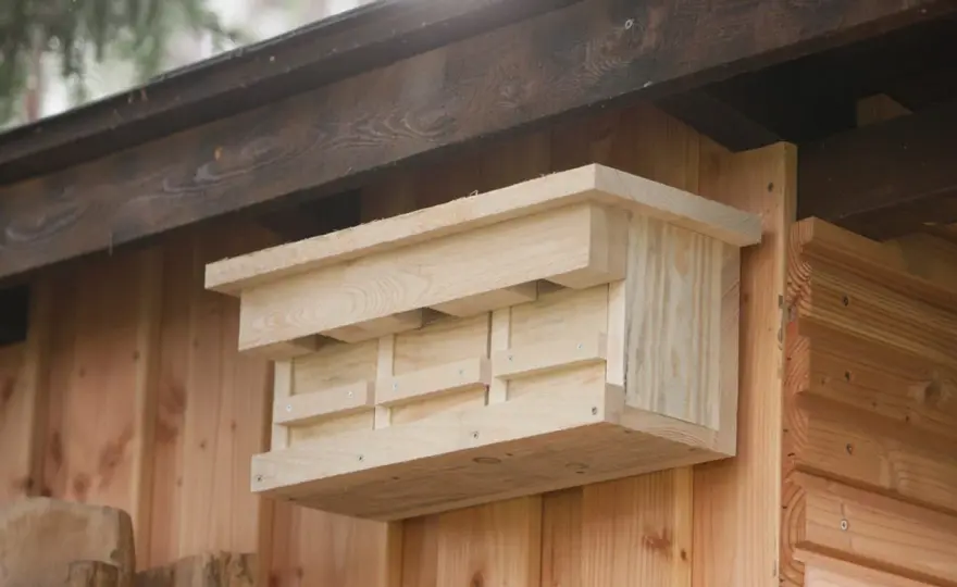 Nistkasten selber bauen - so passt er zu Meisen und Sperlingen