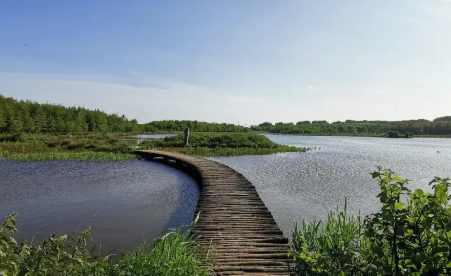 South Holland Walks - Your Guide to Diverse Landscapes