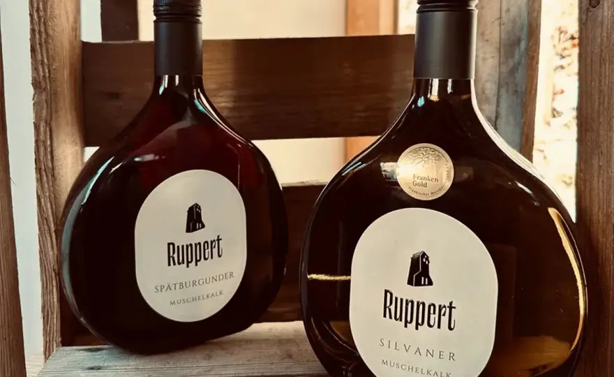 Weingut Franken finden - Dein Guide für Silvaner & Bocksbeutel