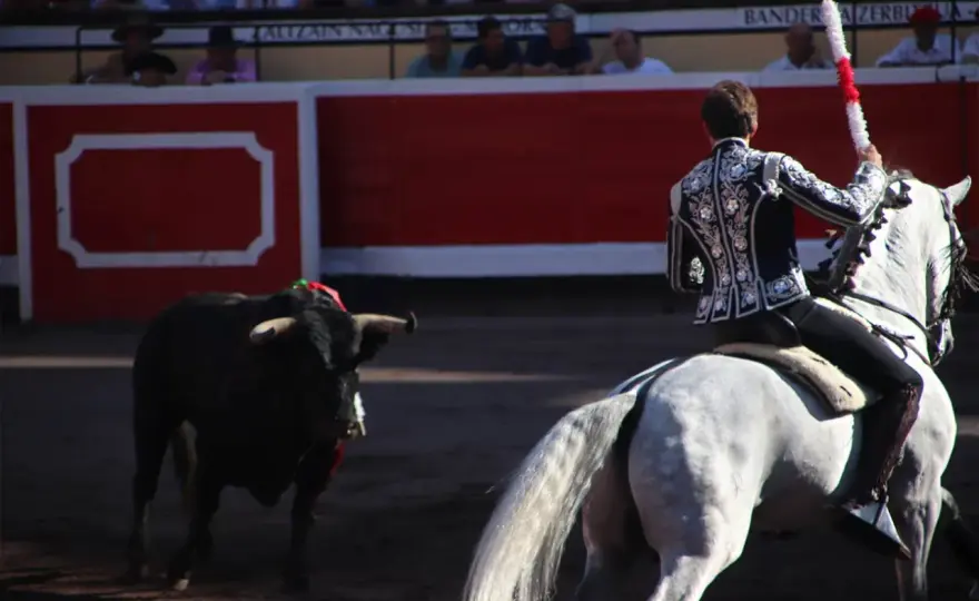 Tendido alto Las Ventas - ¿La mejor visión para entender la corrida?
