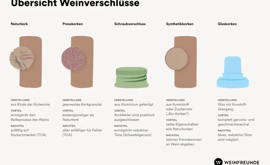 Kork im Wein verstehen - Fehler erkennen & Weine genießen
