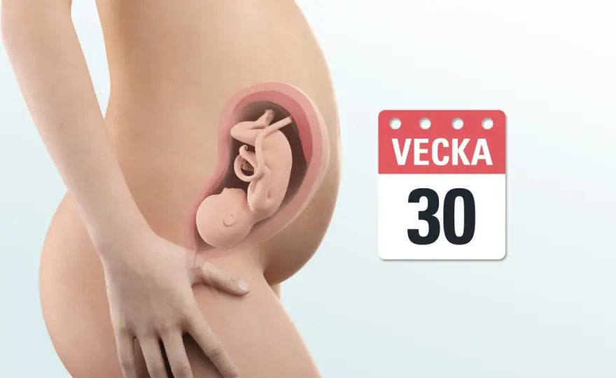 Gravid i vecka 30 - vad som är normalt och när du ska söka vård