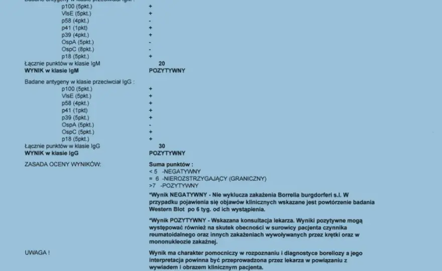 Badania na boreliozę po kleszczu: Kiedy i jakie, by wynik był pewny?