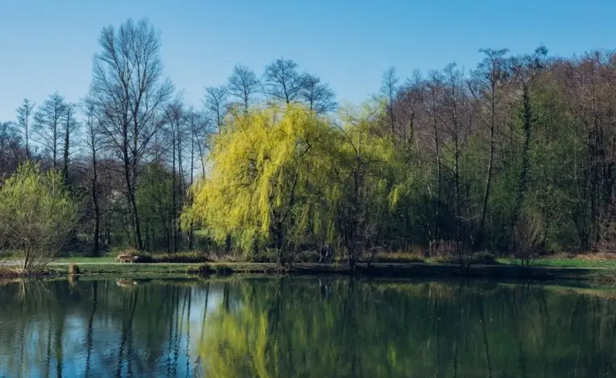 Charzykowy - trasy rowerowe. Jak wybrać najlepszą dla siebie?