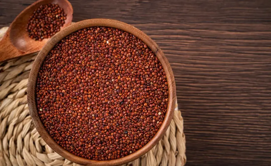 Quinoa rossa - Guida completa per cucinarla e usarla al meglio