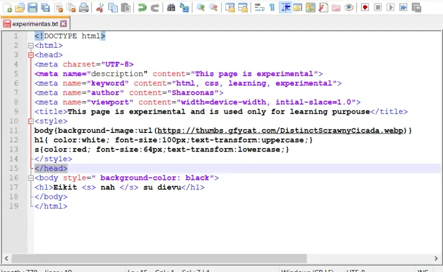 Jak zrobić stronę internetową HTML w Notepad++ bez zbędnych trudności