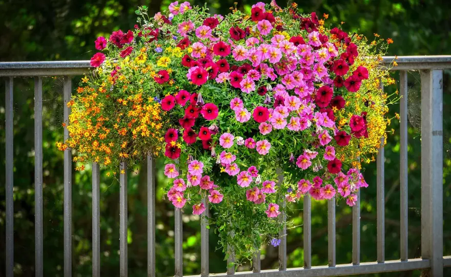 Flores de verano resistentes: elige bien y mantén tu jardín vibrante