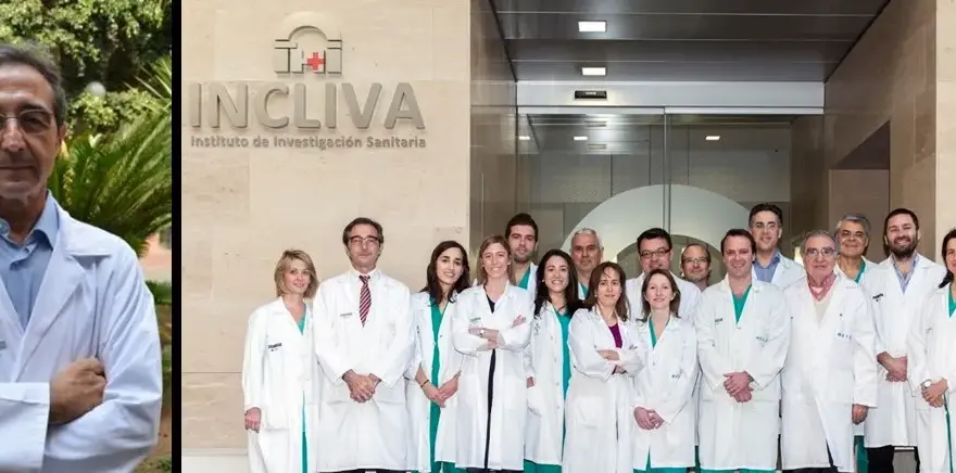 Composición y roles del médico en un equipo de investigación eficaz