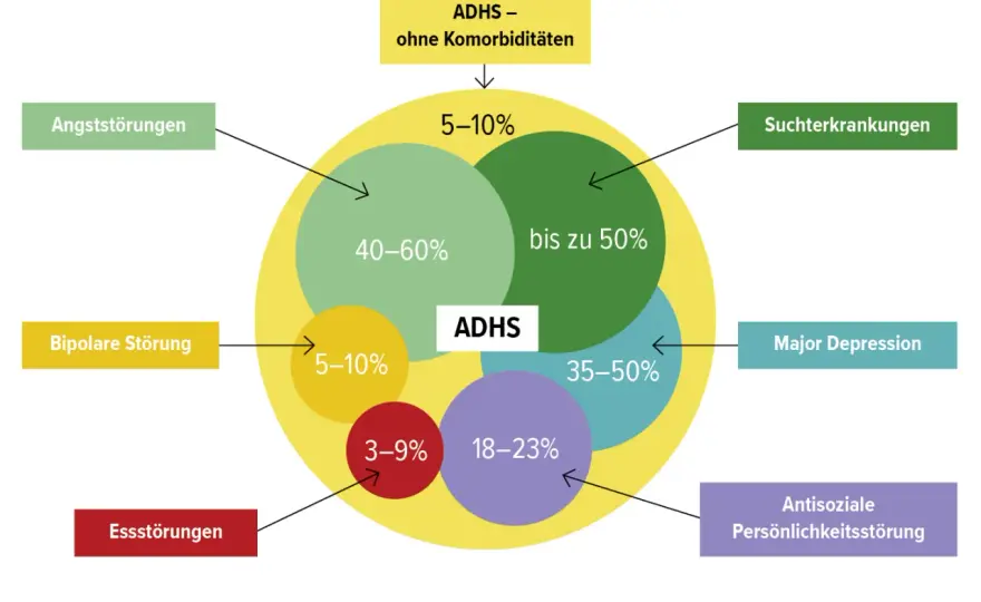 ADHS bei Erwachsenen - Ursachen, Inklusion & Hilfen verstehen