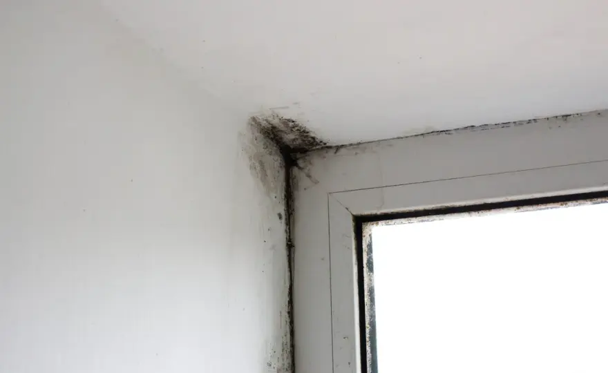 Quitter un logement insalubre - préavis, preuves et modèle