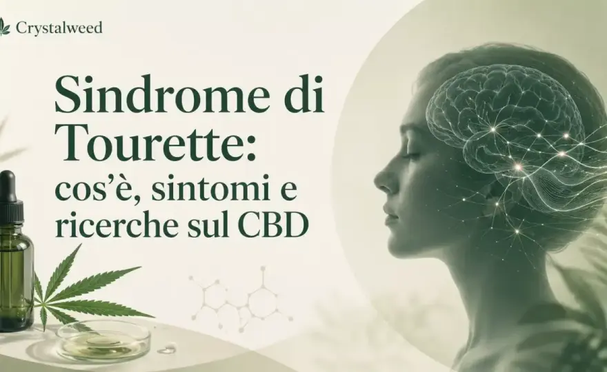 Sindrome di Tourette - sintomi, segnali e quando serve una valutazione