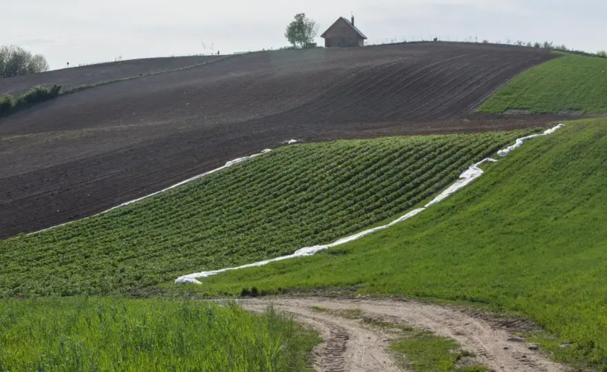 Średnie ceny gruntów GUS - Ile naprawdę warta jest Twoja ziemia?