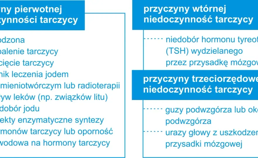 Niedoczynność tarczycy przyczyny: Co może prowadzić do problemów?