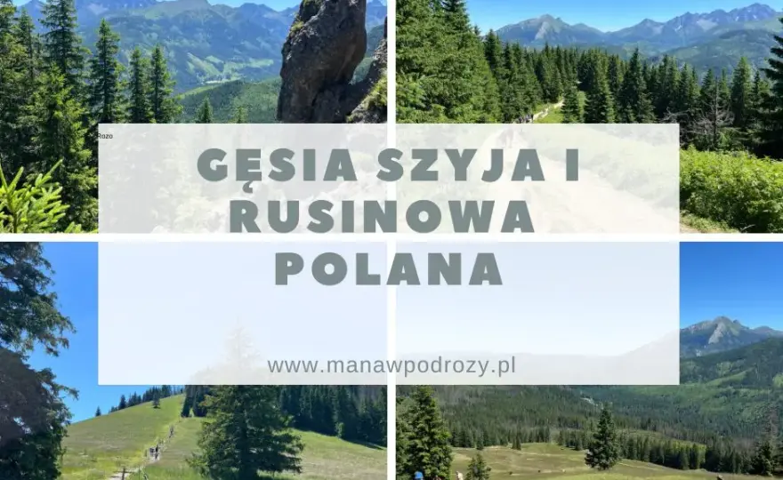 Gęsia Szyja z Wierchu Poroniec: Szlak, Widoki, Porady Kompletny Przewodnik