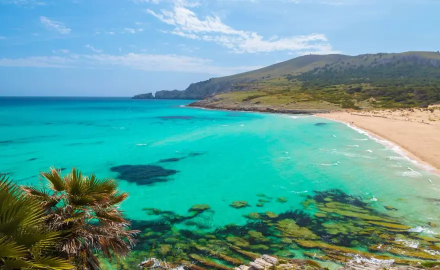 Playas de Mallorca - ¿Cuál elegir para tu viaje perfecto?