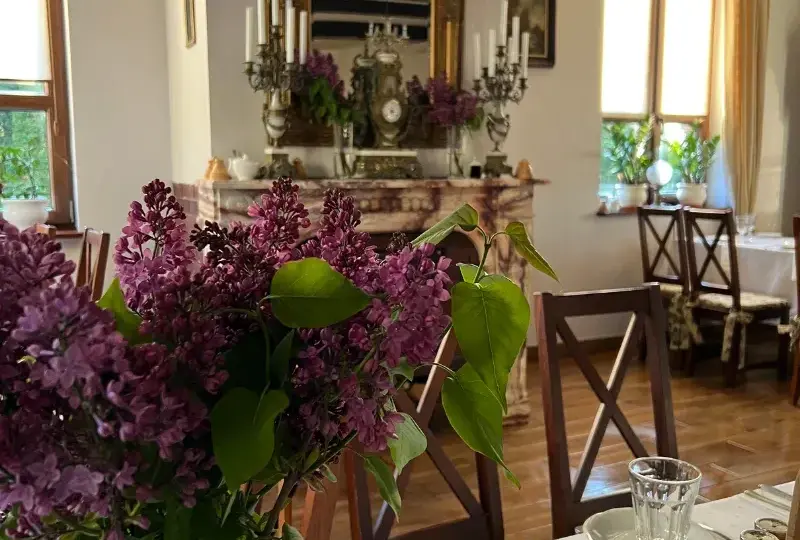 Gdzie zjeść w Drohiczynie? Odkryj najlepsze restauracje i smaki