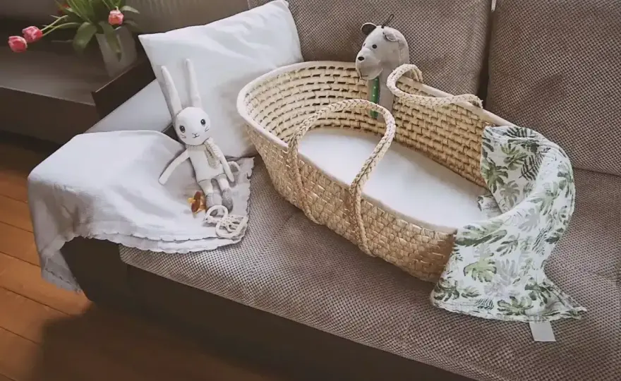 Kosz Mojżesza w wyprawce - jak wybrać dobry model?