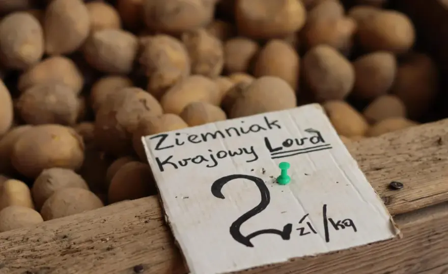 Cena ziemniaków w Polsce - Skup, hurt, targowisko. Sprawdź!