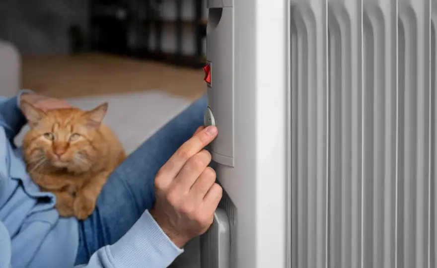 Emisor térmico o radiador de aceite, cuál conviene para tu casa