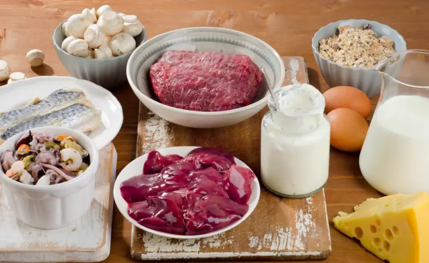 Morbus Meulengracht und Vitamin B12 richtig einordnen