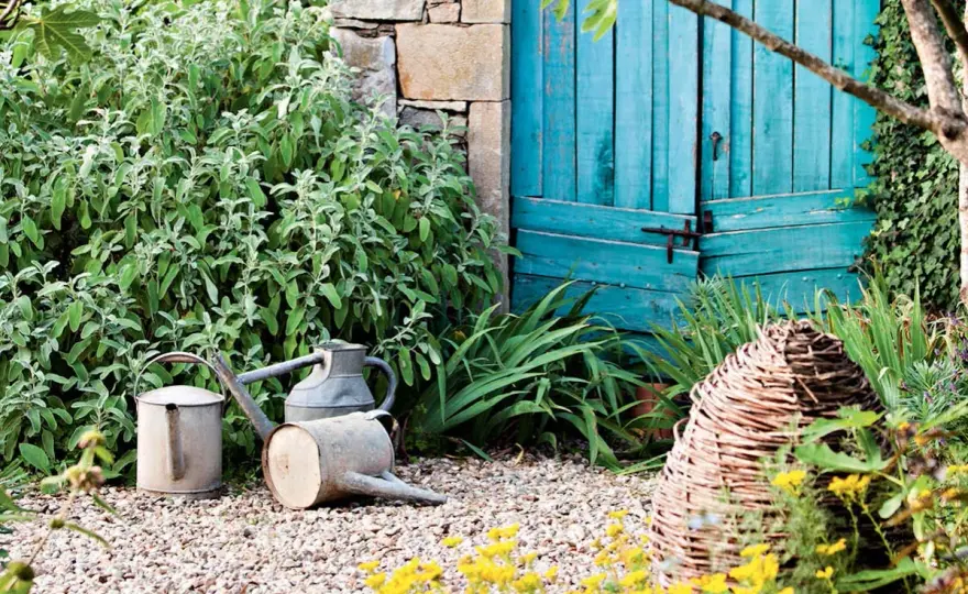 Massif sans entretien - Le guide pour un jardin facile