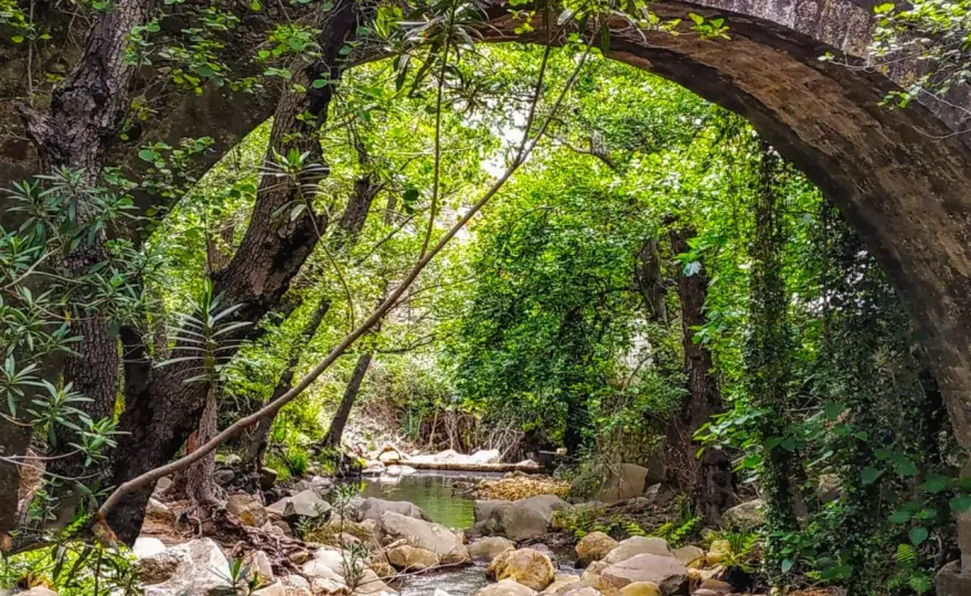 Ruta de la Miel en España - Pueblos, senderos y sabor auténtico
