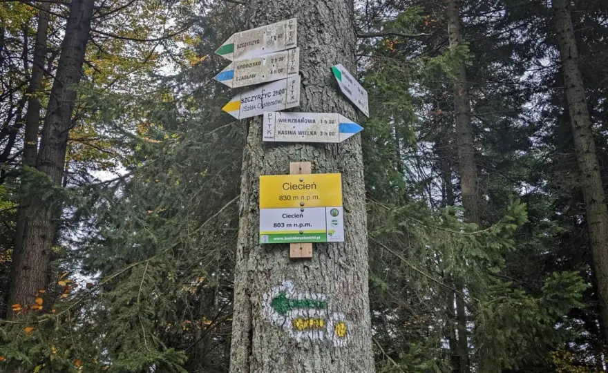 Ciecień w Beskidzie Wyspowym - szlaki, czas i widoki