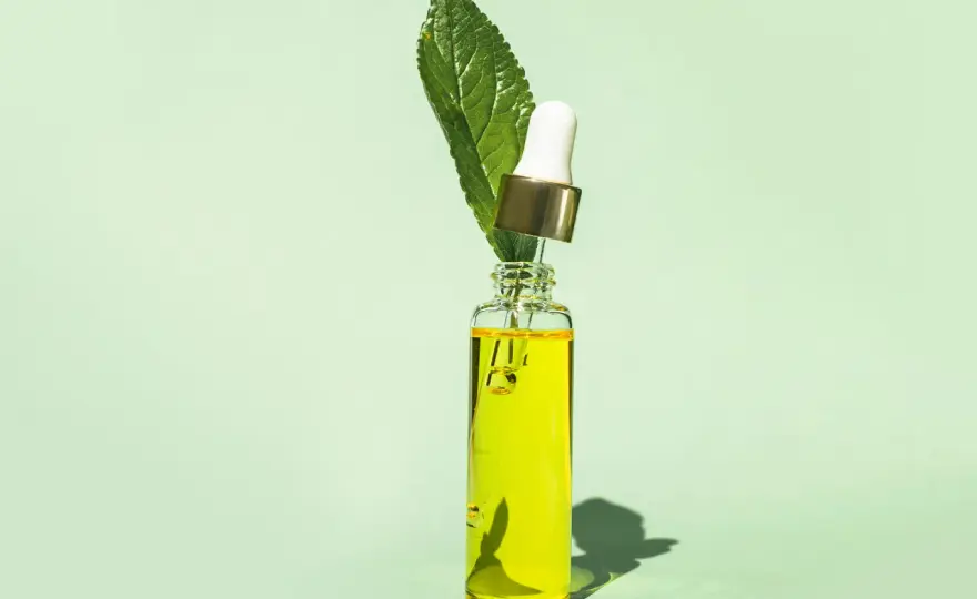 Tea tree-olja för hud och hår - när den faktiskt hjälper