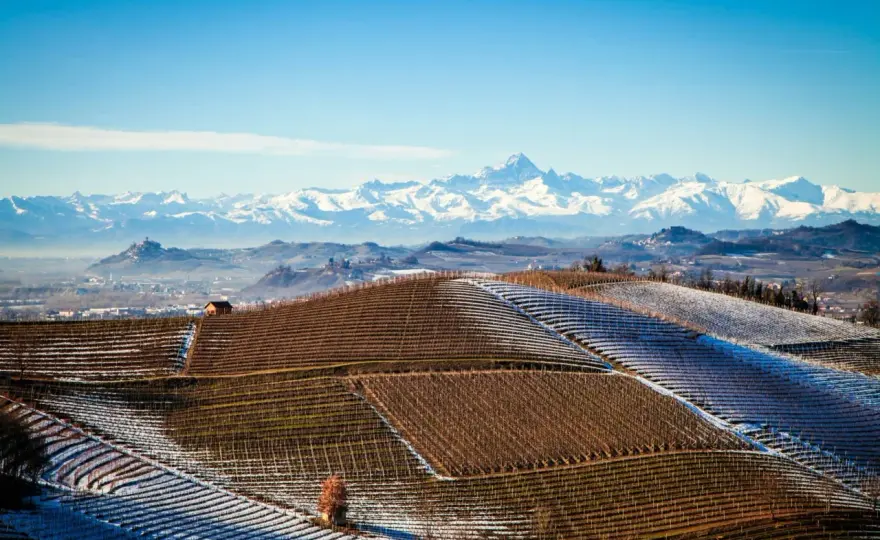 Barolo - Quels millésimes choisir en 2026 et pourquoi ?