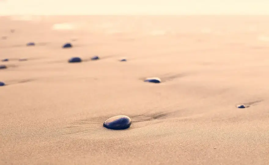 Spacer dziką plażą Stana Borysa - O czym naprawdę jest ten hit?
