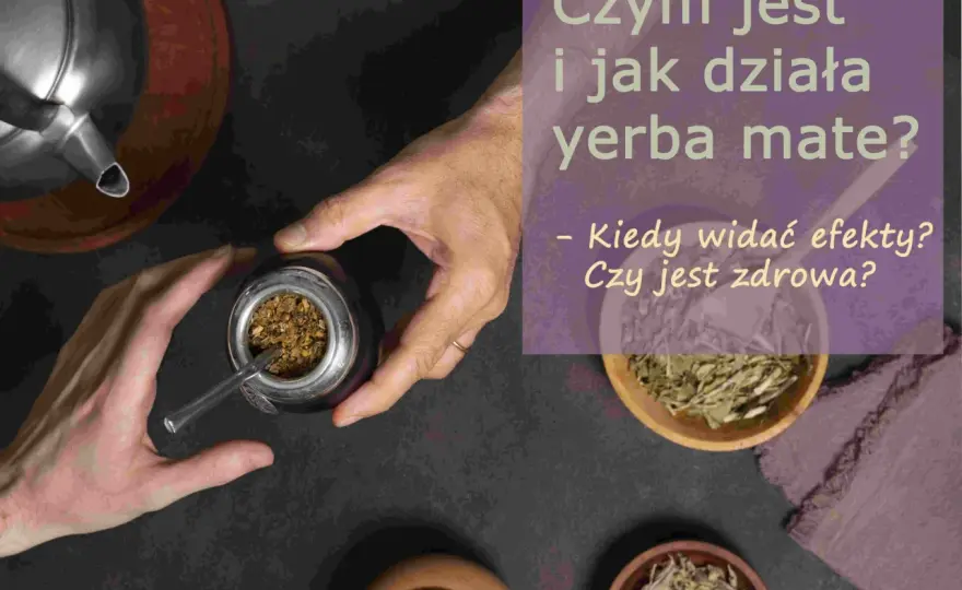 Yerba mate: Kiedy działa? Czas pobudzenia i sekrety parzenia