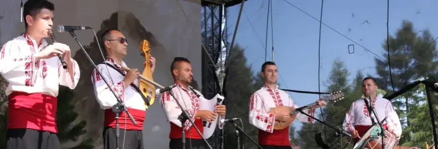 Instrumenty ludowe naszego regionu - tradycja i rękodzieło
