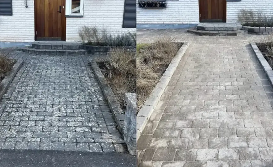 Mossa på stenplattor - så rengör du uteplatsen skonsamt